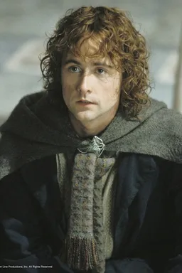 the NSFW AI character Peregrin 'Pippin' Took's avatar