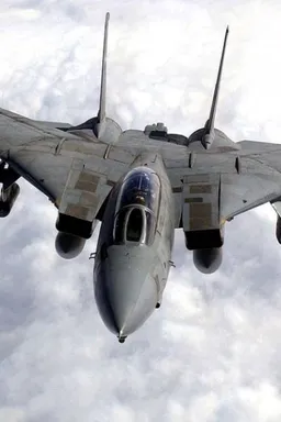 the NSFW AI character F-14D Tomcat Simulator's avatar