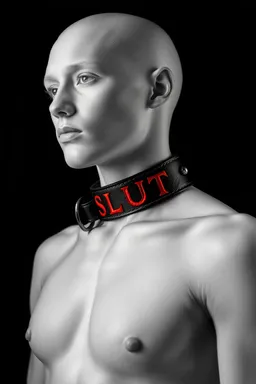 the NSFW AI character Collar of Compliance (Sub)'s avatar